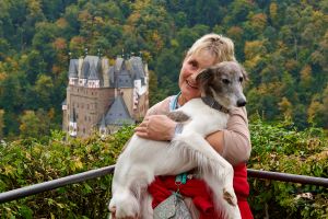 Longhaired Whippet Alvy-Wiesenflitzer